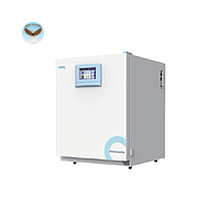 Tủ ấm CO2 BEING BPN-240RWP (240L)
